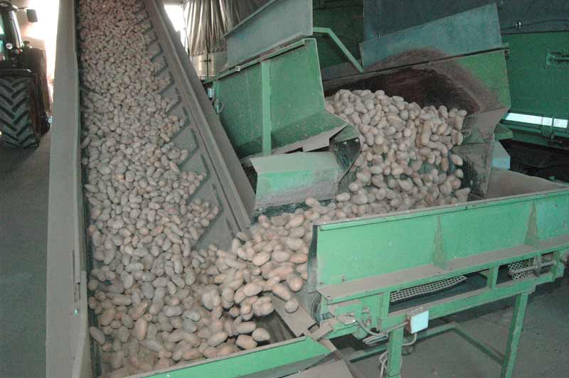 Landhandel Vasterling - Lose Verladung von Kartoffeln