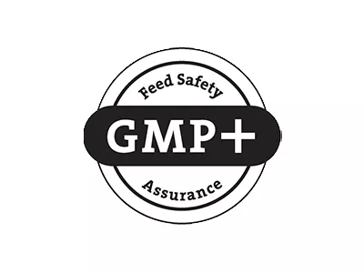 GMP und FC Scheme