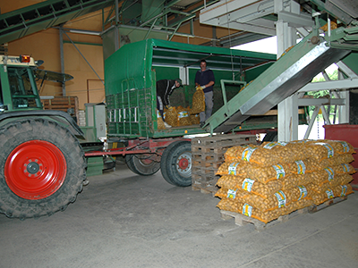 Sackware Kartoffeln